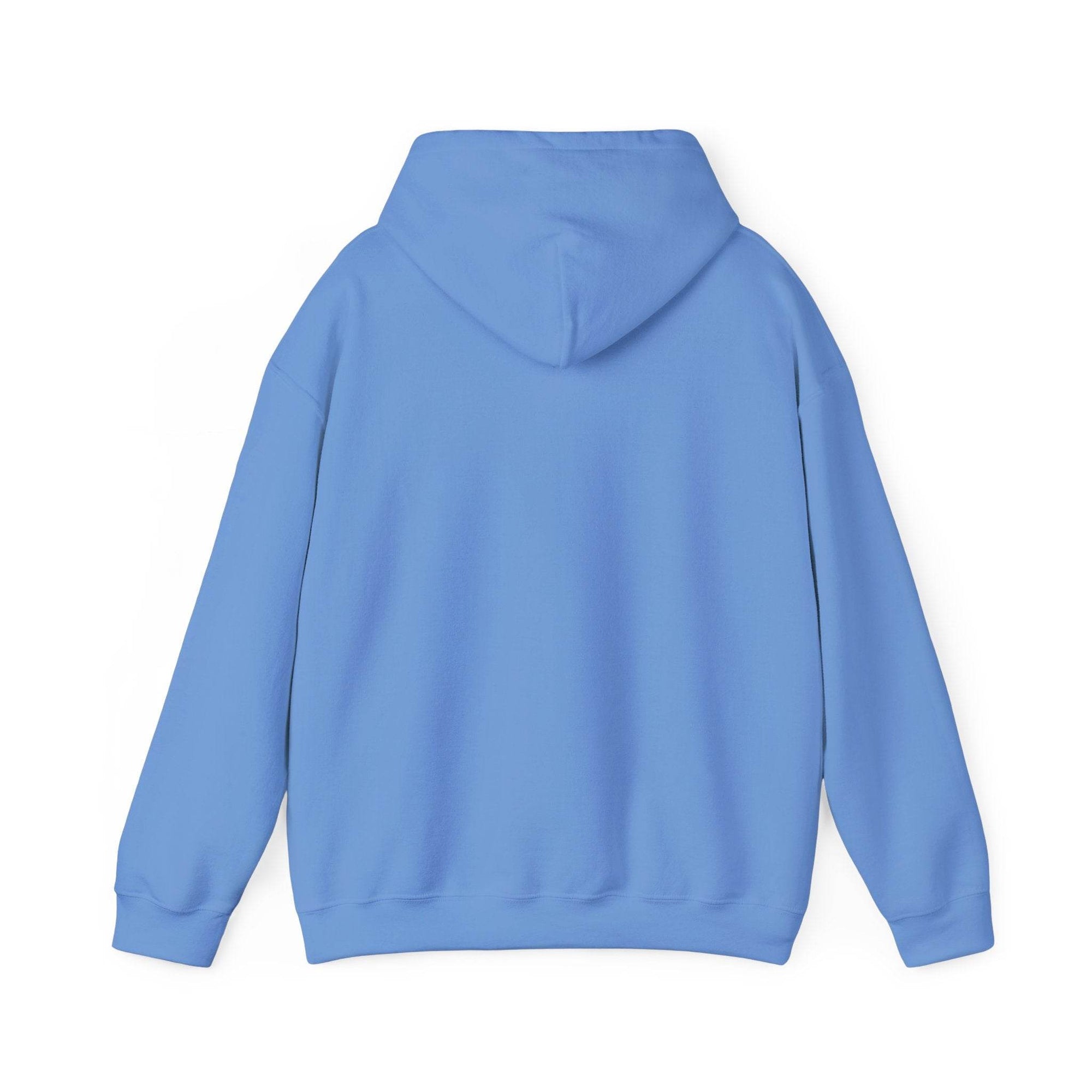 Hoodie Blank G18500 in light blue, back view with hood, 50/50 blend, cozy casual wear.