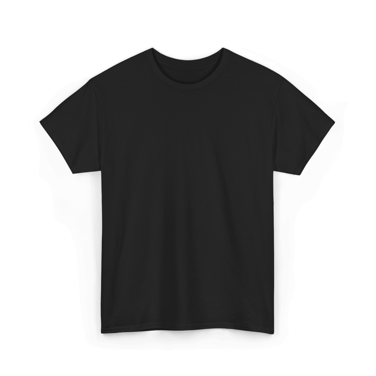 Mystery T-Shirt on a black heavy cotton tee, standard fit, ships with a surprise design.