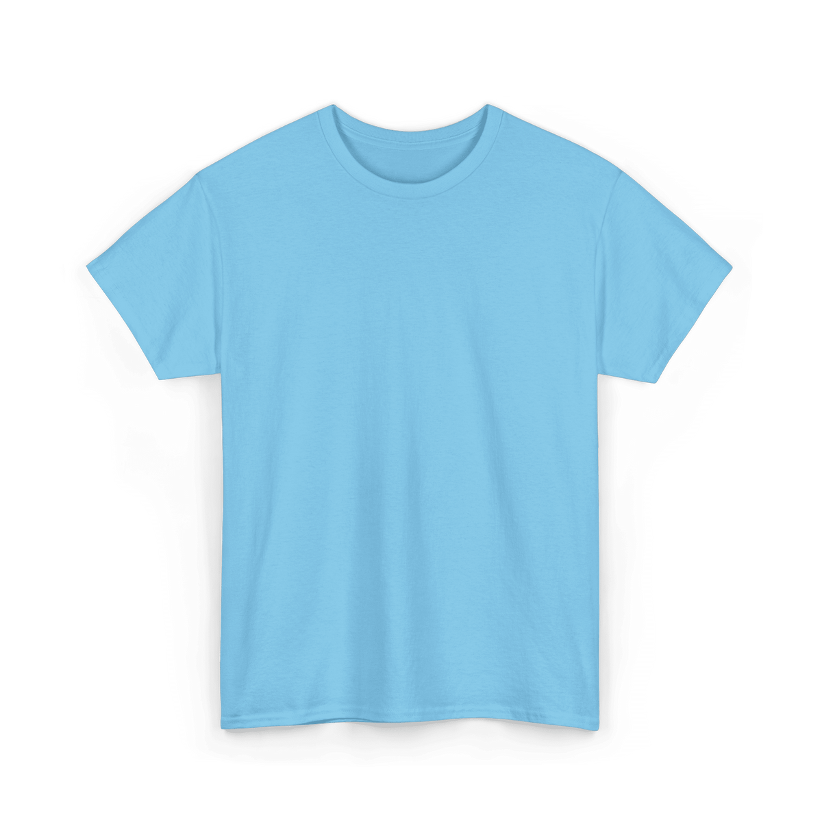 Mystery T-Shirt: A Surprise Worth Opening — randomly selected design on a premium heavy cotton tee from Iowa shop.