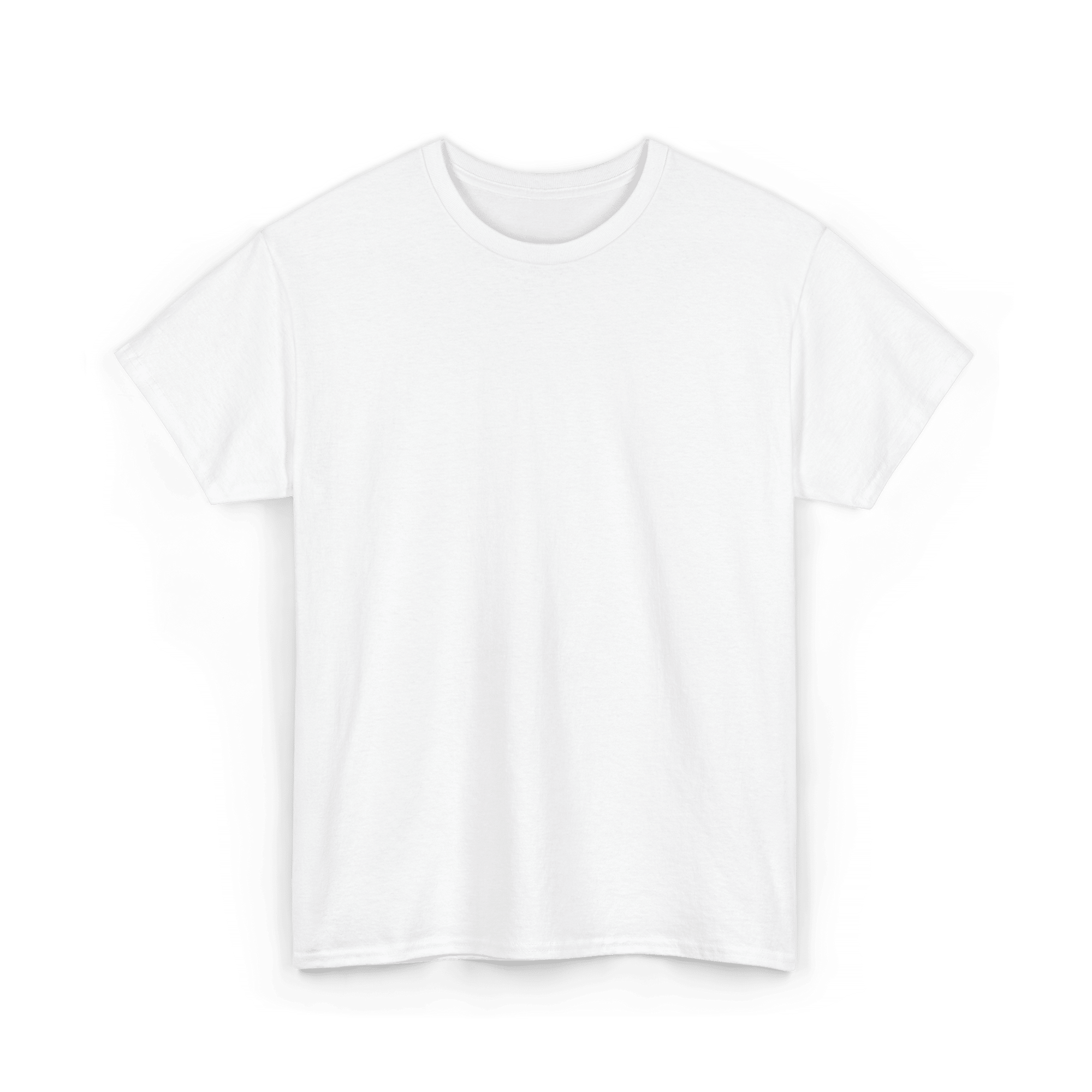 Mystery T-Shirt: plain white premium cotton tee featuring a randomly selected in-house design as a surprise.
