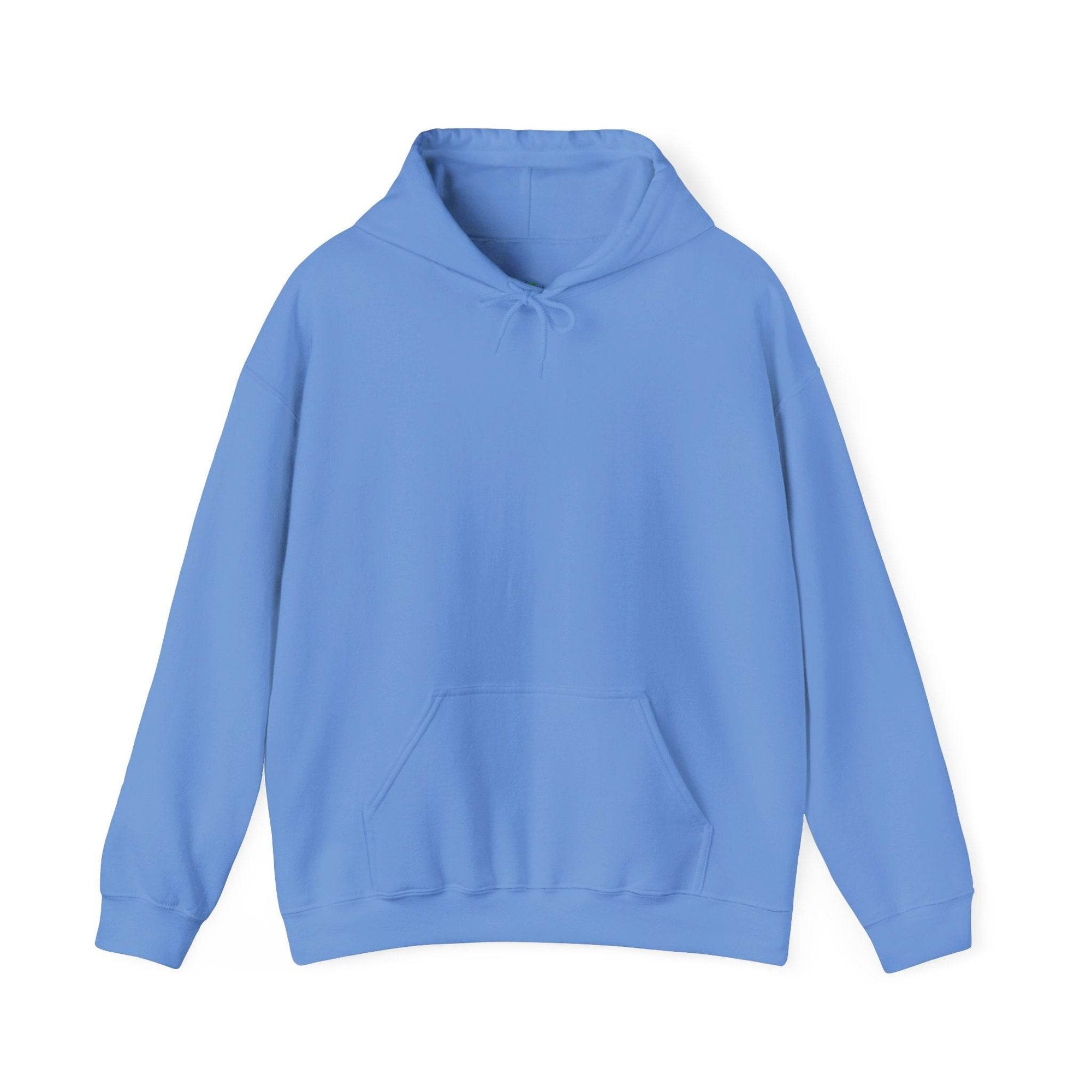Hoodie_Blank G18500 light blue 5050 blend hoodie with drawstring hood and front kangaroo pocket.